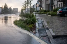 Regnvatten rinner längs en planterad dagvattenränna vid en bostadsgata