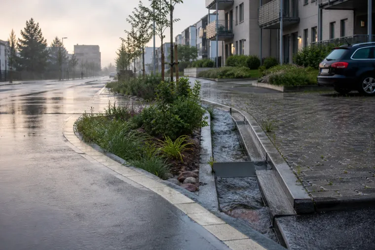 Regnvatten rinner längs en planterad dagvattenränna vid en bostadsgata
