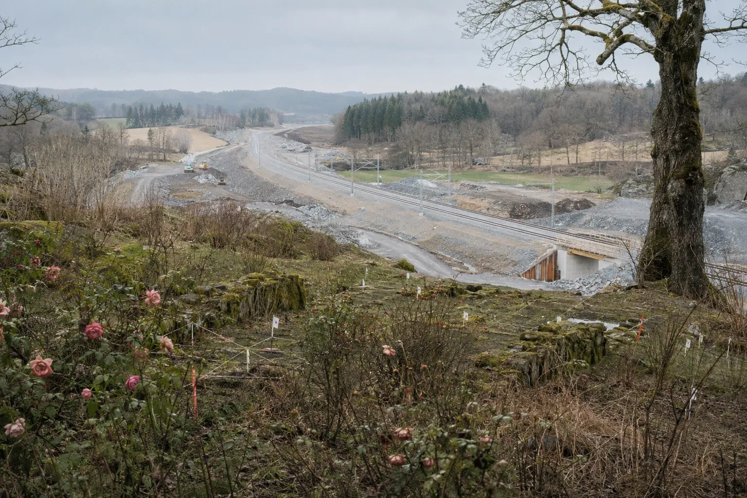 Trafikverket undersöker bortglömd rosenträdgård vid Stenkullen